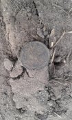 20160409_173416.jpg