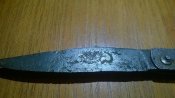 WP_20160329_037.jpg
