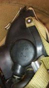 IMG_20160411_061035.jpg