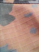 IMG_11042016_071218.jpg