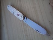 IMG1343.jpg