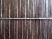 100_4451.JPG