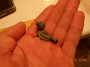 DSCN1039.JPG
