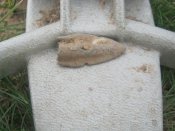 IMG_5341.JPG