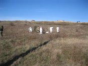 PM130image003.jpg