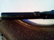 IMG_20160413_193317.jpg