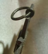 SL272431.JPG