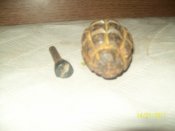 100_2481.jpg