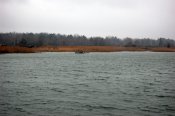 13029443_58.jpg