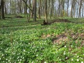 20160413_162643.jpg