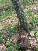 20160413_153806.jpg