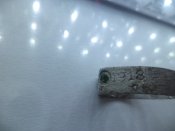 DSC07417.JPG