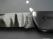 CIMG0905.JPG