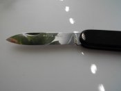 CIMG0910.JPG
