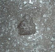 DSCN5711.JPG