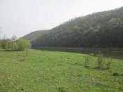 IMG_0339.JPG
