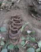 IMG0064A.jpg