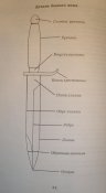 DSCI4394.jpg