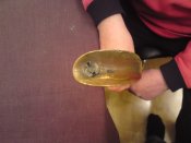 DSC01243.jpg