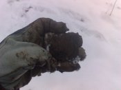 Четыре-4.jpg