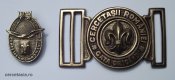 insigna + catarama.jpg