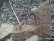 2016-04-17 10.02.50.jpg