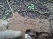2016-04-17 10.03.05.jpg