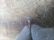 IMG_20160417_160703.jpg