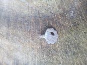 IMG_20160417_160657.jpg