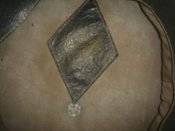 DSC04746.JPG