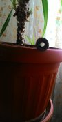 P_20160412_115056.jpg