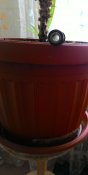 P_20160412_115158.jpg