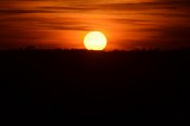 DSC_0190.JPG