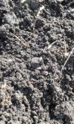 20160415_162706.jpg