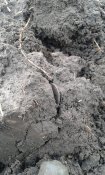 20160415_163650.jpg
