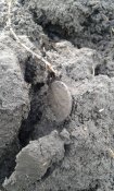 20160415_163657.jpg