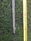 IMG_20160414_100553.jpg
