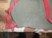DSCN7583.JPG
