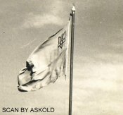 flag4.jpg