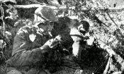 Lett 98460.jpg