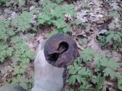 2016-04-21 09.47.56.jpg