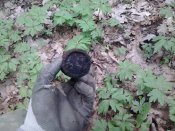 2016-04-21 09.48.05.jpg