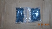 DSC03954.JPG