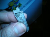 DSC03703.JPG