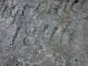 IMG00117.jpg