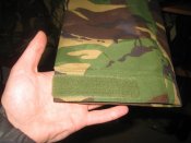 IMG_7990.JPG