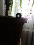 P_20160425_112733.jpg