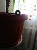 P_20160425_112909.jpg
