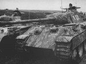 Wiking_panther_r02.jpg