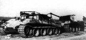 x_22790520.jpg
